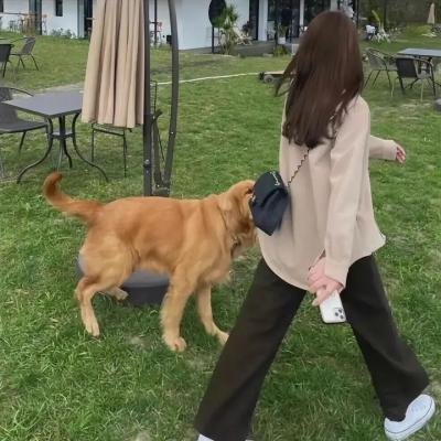 我是大哥大2018