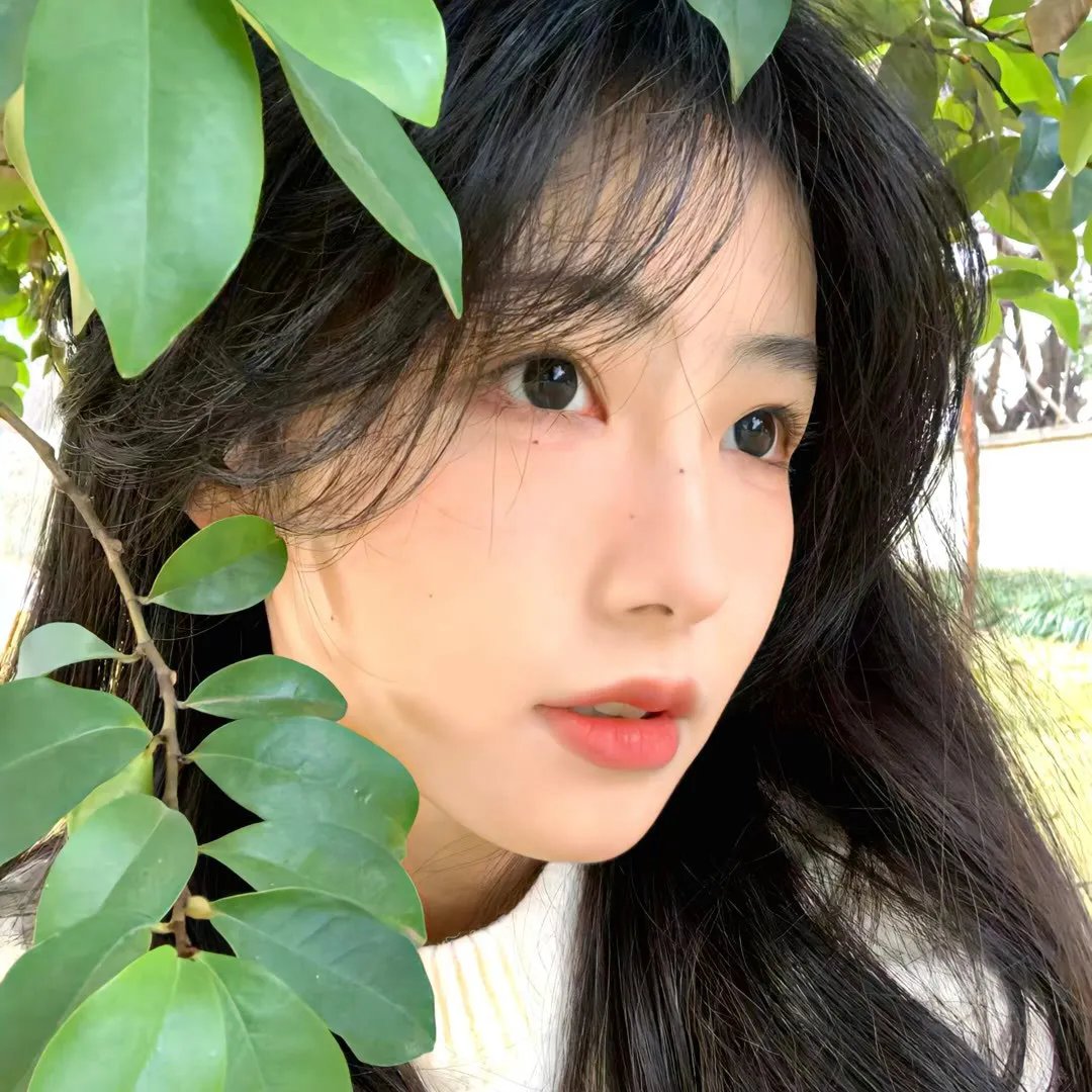 梨树花开